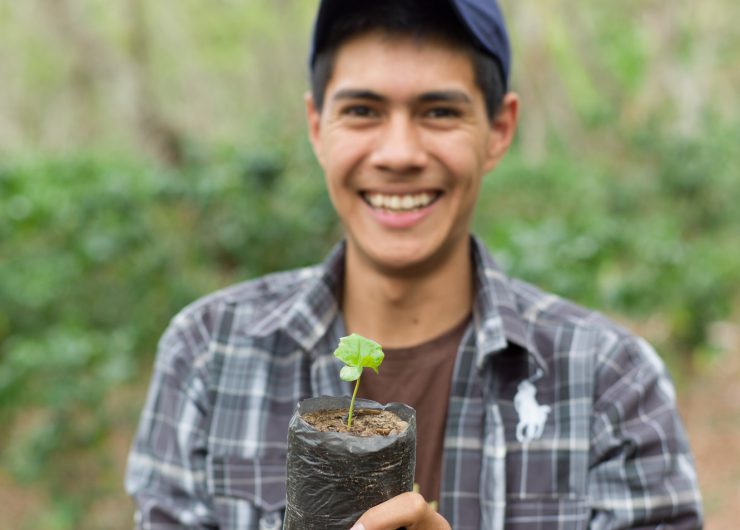 Coffee farmer in Honduras holds young coffee plant.