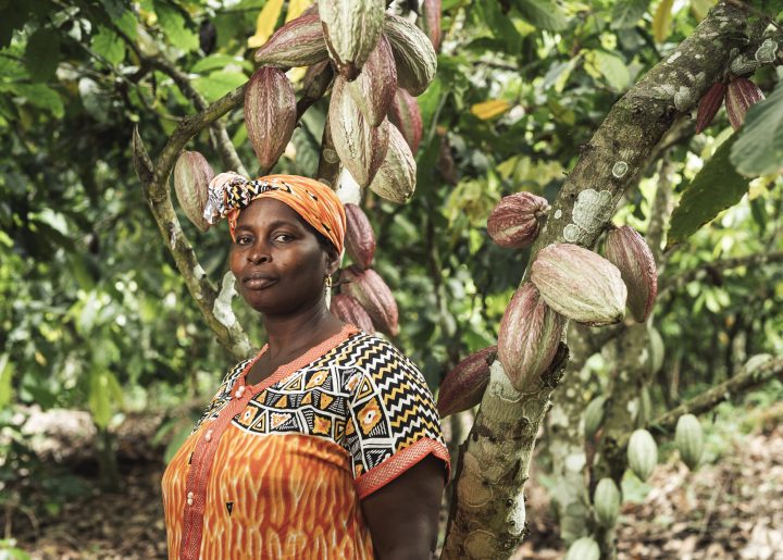 Cocoa farmer in vibrant orange outfit standing in front of cocoa tree lush with green pods.