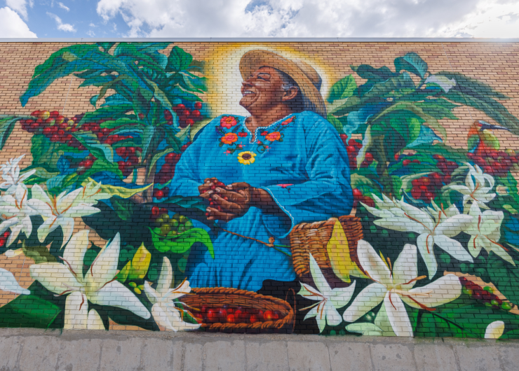 Mural of Honduran coffee farmer, Joselinda Manueles holding a handful of coffee cherries. This portrait features coffee flowers and Scarlet Macaws. This portrait was painted by IT-RA Icons on the side of The Merc Co-op in Lawrence, KS.