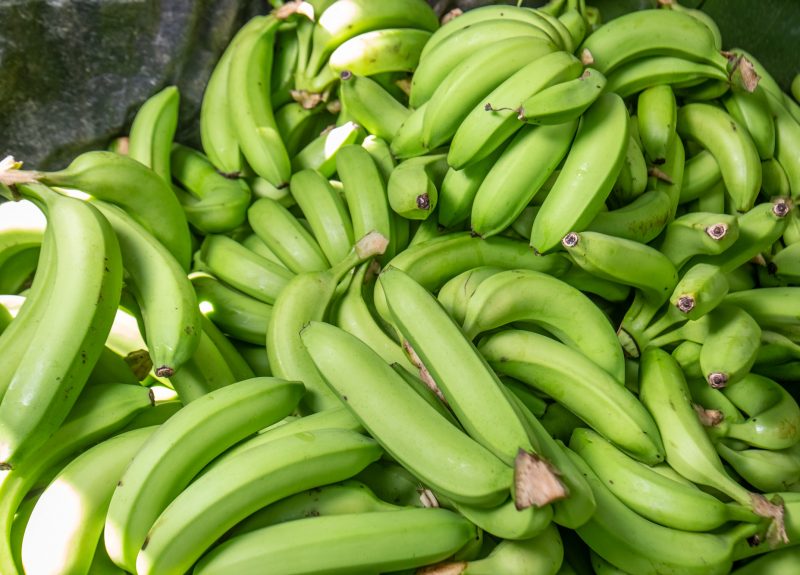 Pile of green bananas