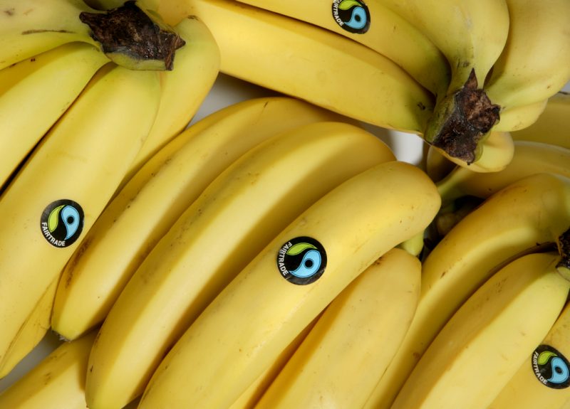 Yellow bananas with the blue and green Fairtrade Mark