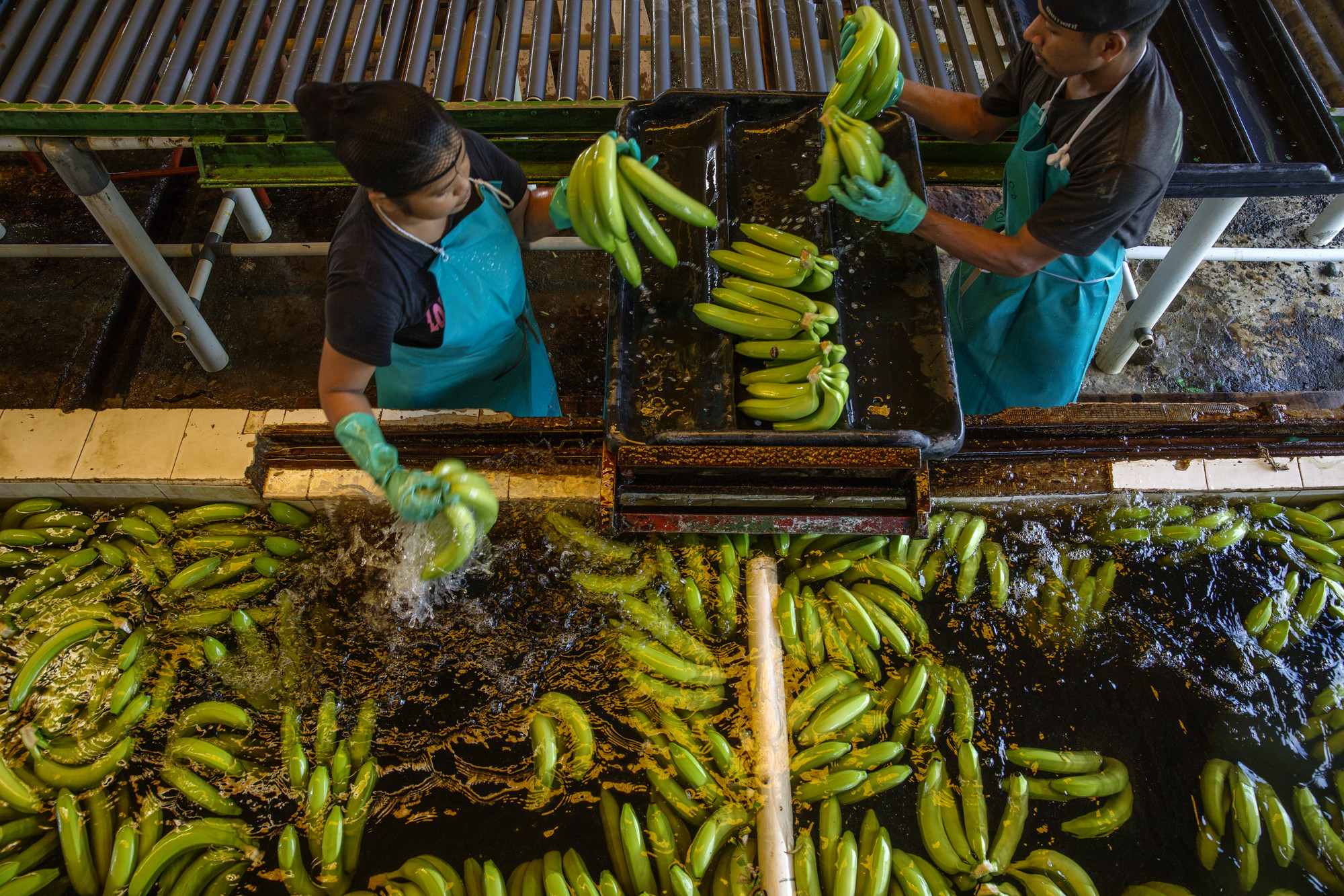 Monitoring Report 10th Edition Fairtrade America