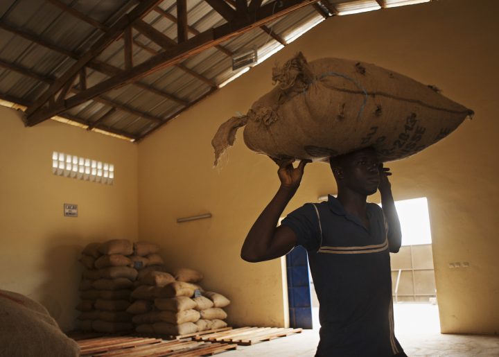 Man carries large bag of cocoa beans on his head in warehouse in Cote d'Ivoire.