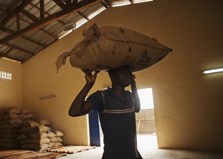 Man carries large bag of cocoa beans on his head in warehouse in Cote d'Ivoire.