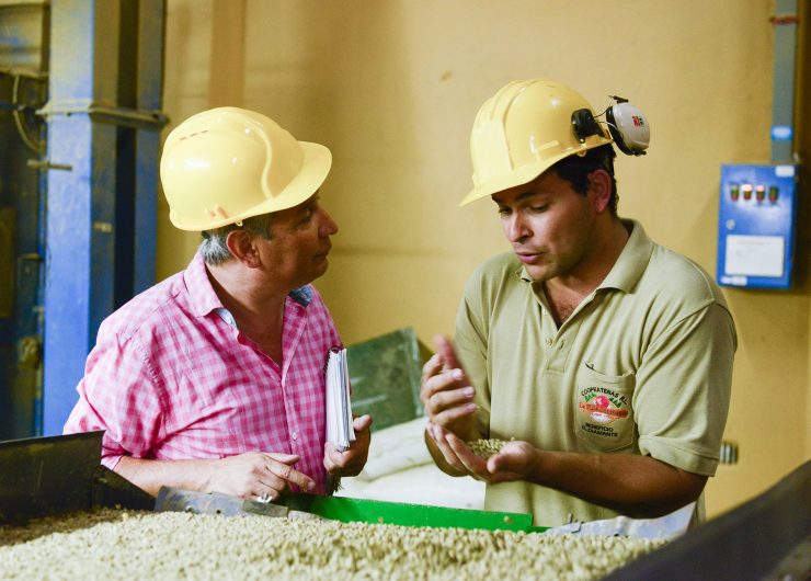 Farmworkers in Costa Rica examining coffee beans
