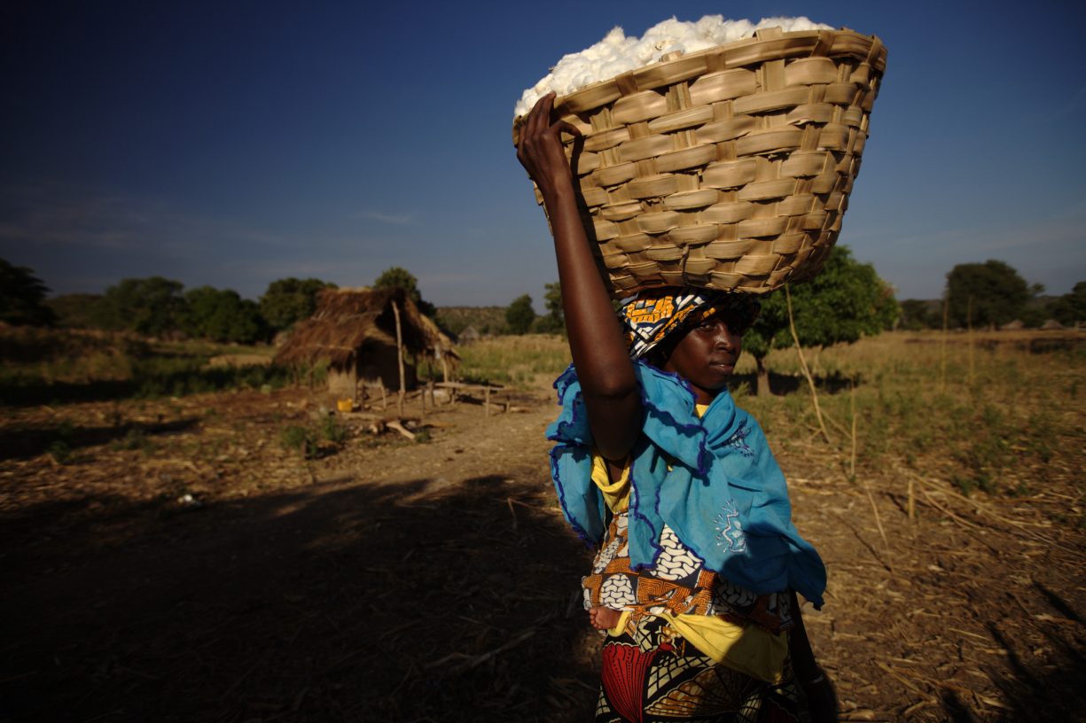 Woman holding basket of cotton