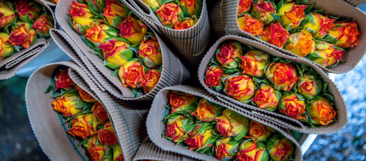 Yellow and orange roses from a Fairtrade certified farm in Kenya
