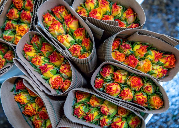 Yellow and orange roses from a Fairtrade certified farm in Kenya