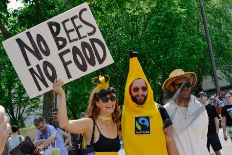 Climate activists with one in a banana suit and one holding a sign that says, "No bees no food".