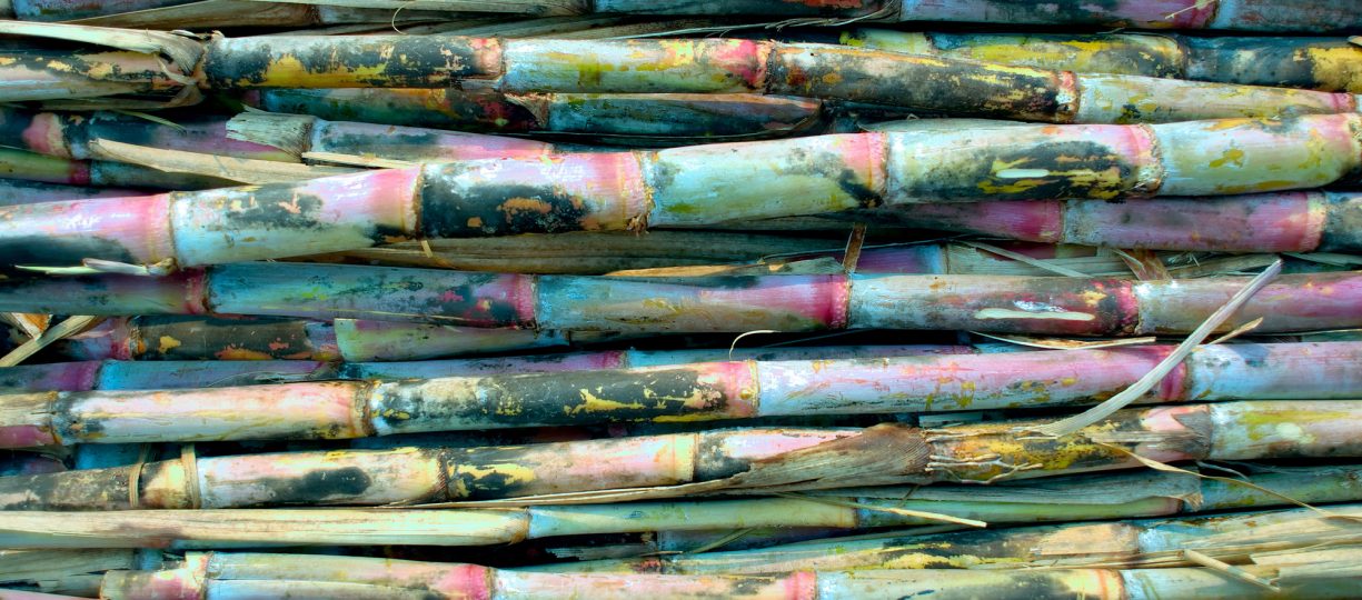 Beautiful and colorful stack of Fairtrade certified sugar cane farmed in Paraguay