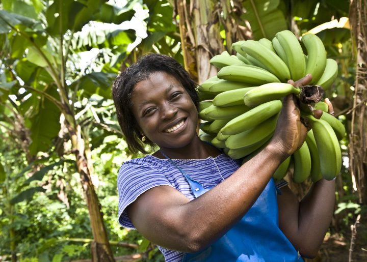 Holding bananas