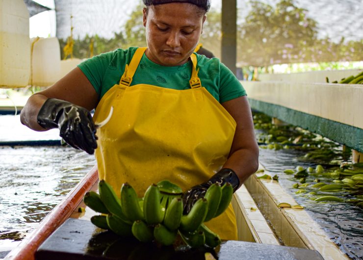 woman working with bananas