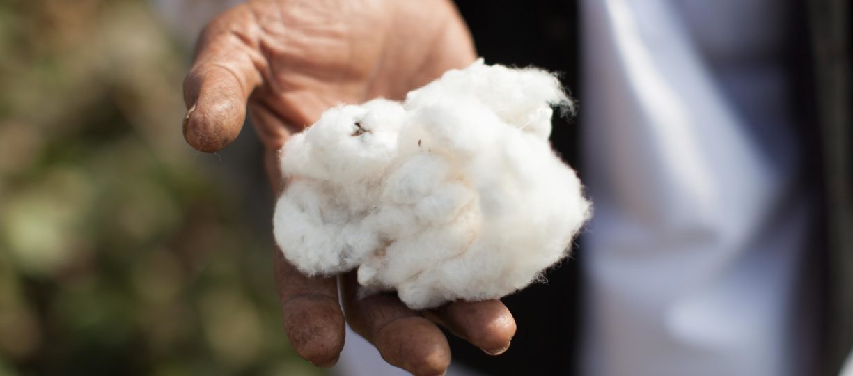 hand holding cotton