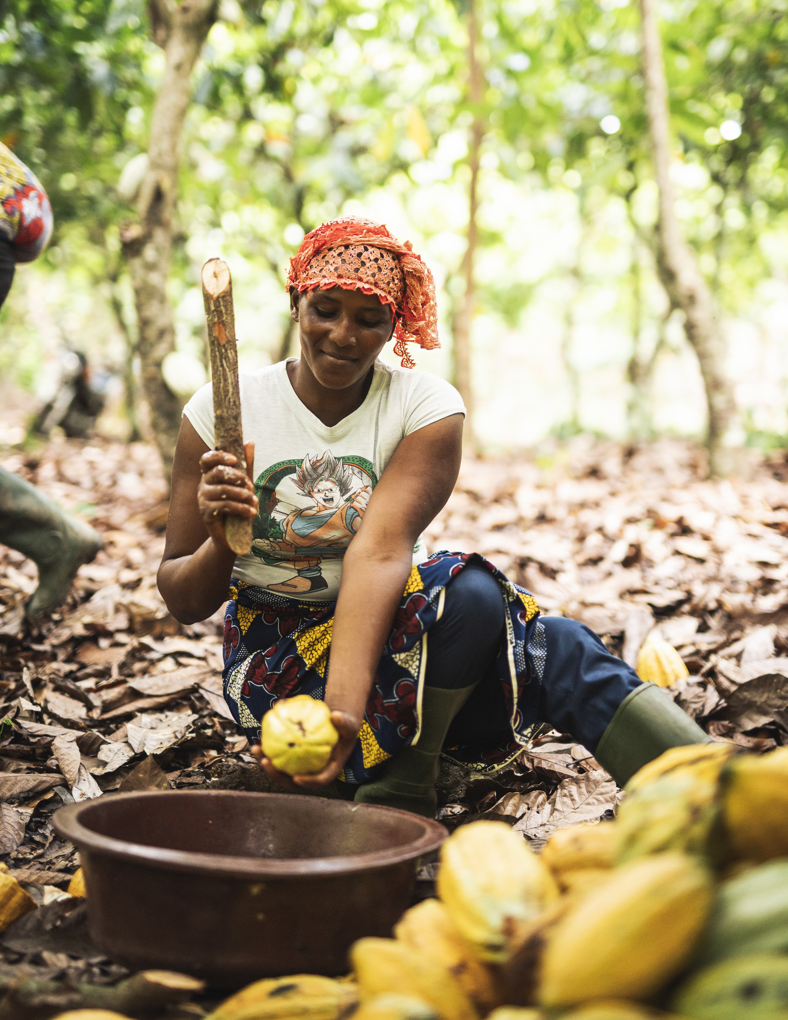 Cocoa Impact Report 2019 Fairtrade America