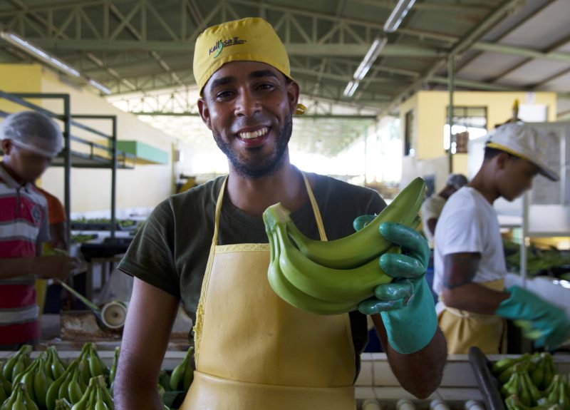 Víctor Manuel Pimentel, banana producer in Dominican Republic