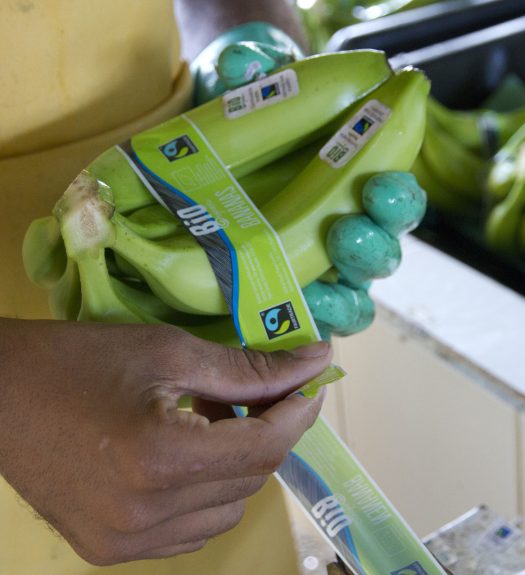 Fairtrade and Organic bananas