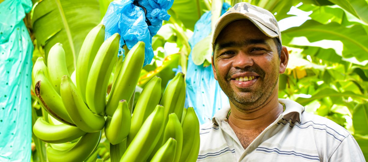 Banana Producer from ASOBANARCOOP