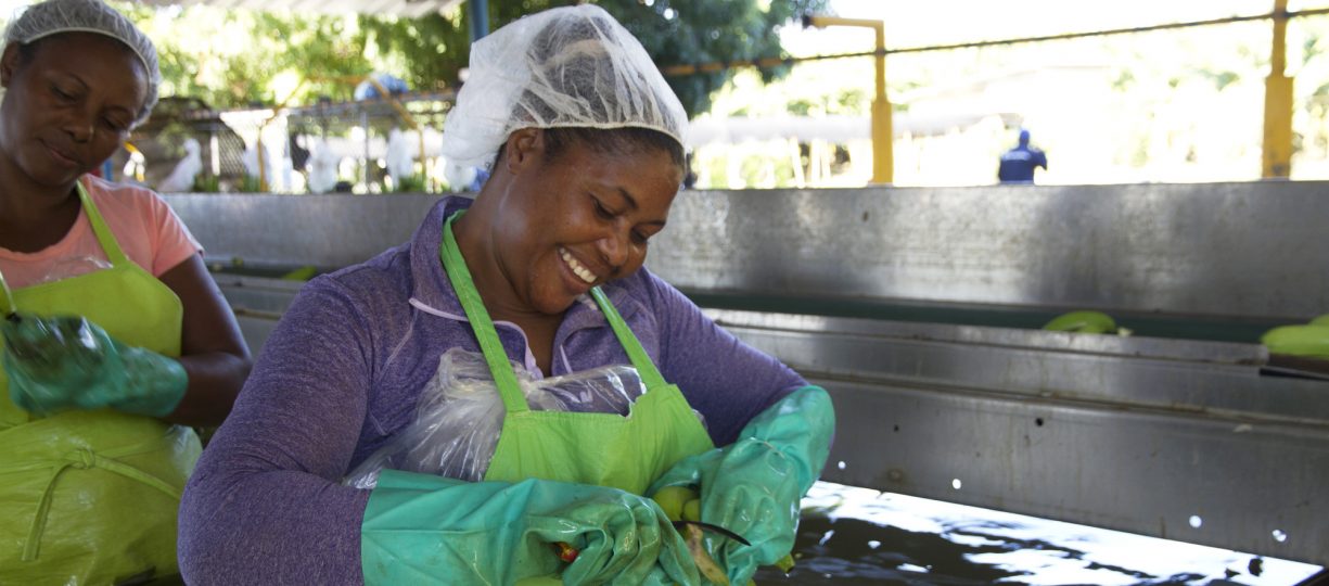 Matilde, a banana worker in the Dominican Republic, washes green Fairtrade certified bananas.