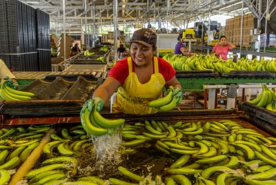 banana worker