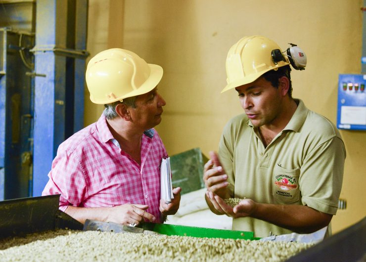 Farmworkers in Costa Rica examining coffee beans