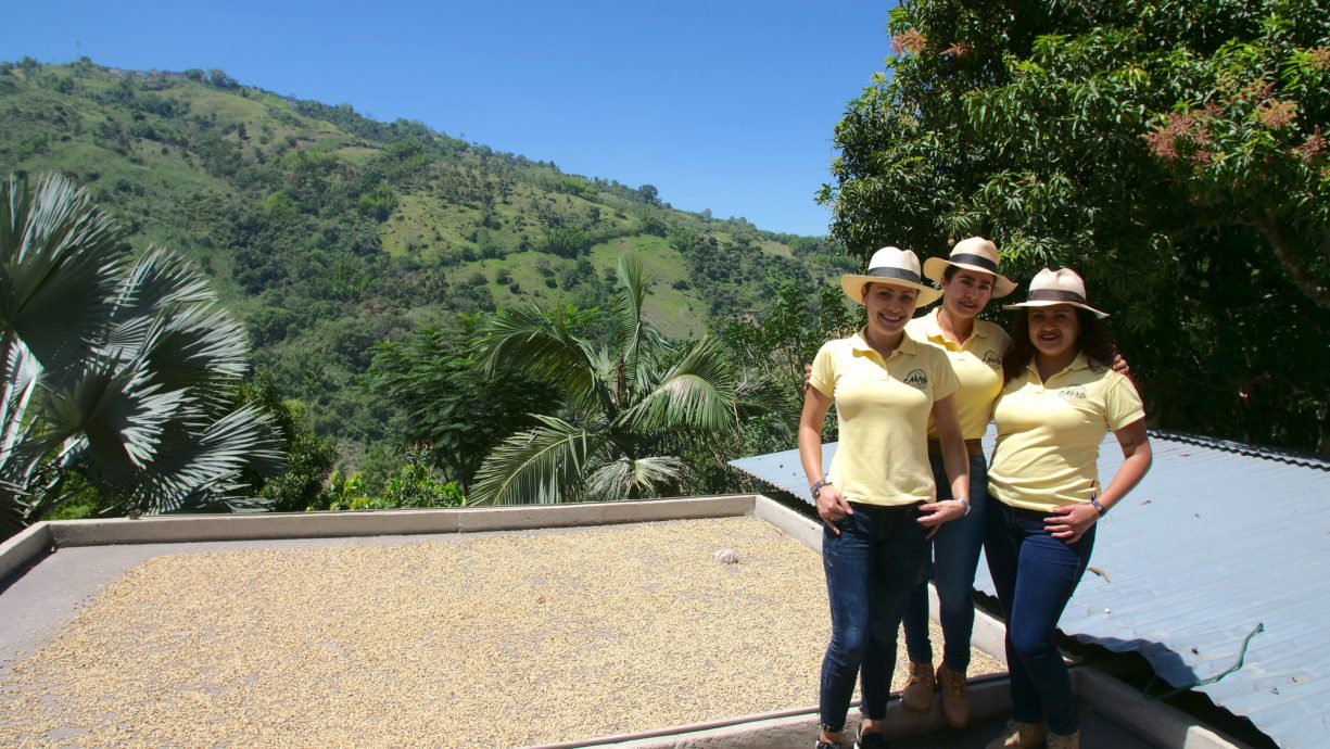 Fairtrade farmers in Colombia standing by drying beans overlooking coffee farms.
