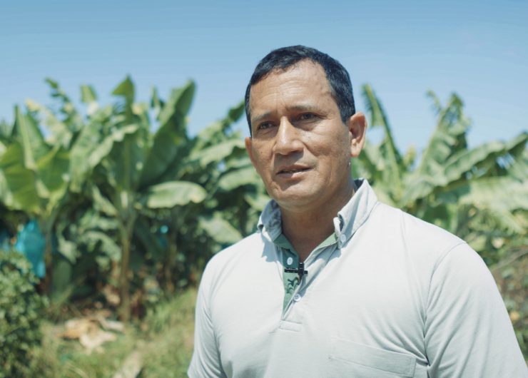 Fairtrade certified banana farmer in front of banana trees in Peru