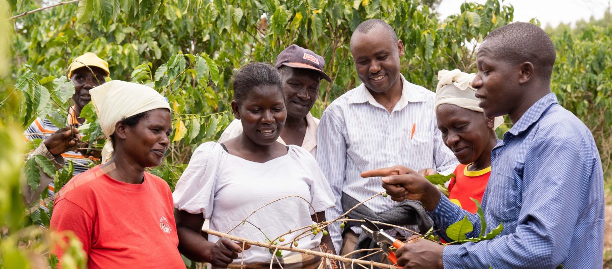 Fairtrade coffee farmers learning about the impact of climate change