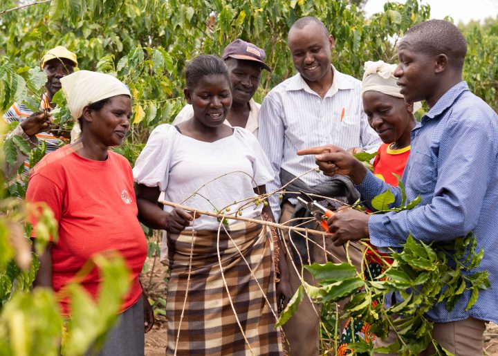 Fairtrade coffee farmers learning about the impact of climate change