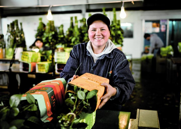 Gladys, a flower grower from Ecuador, holds bundle of Fairtrade certified flowers