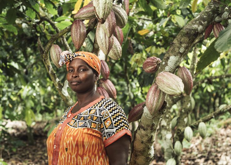 Cocoa farmer in vibrant orange outfit standing in front of cocoa tree lush with green pods.