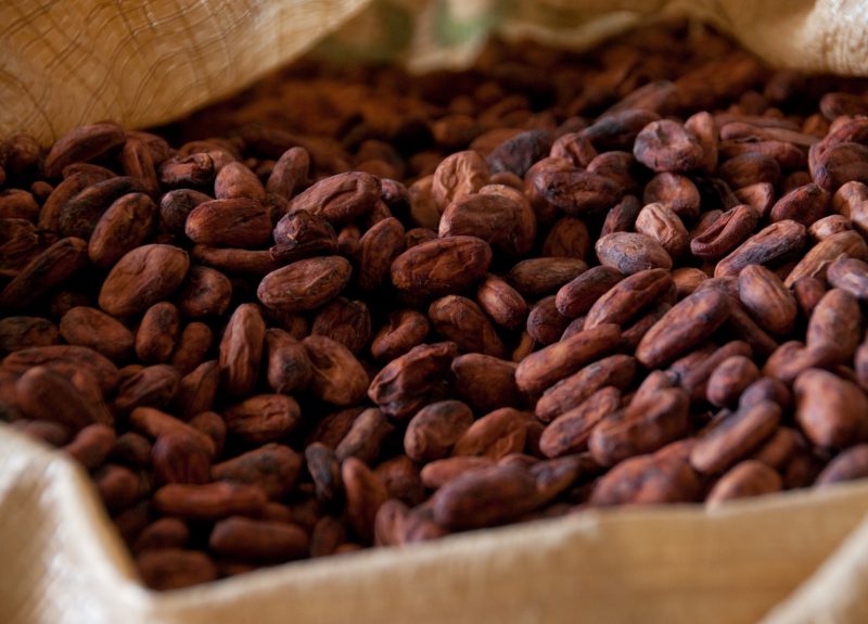 cocoa beans in a bag