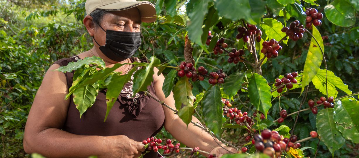 Anna Gutierrez - Coffee producer in Peru