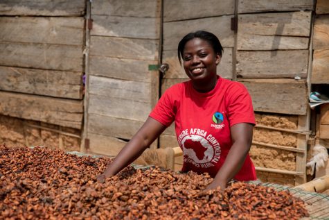 Deborah Osei-Mensah sifting cacao beans
