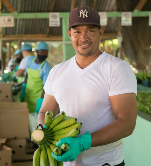 Banelino Dominican Republic Banana Farmer