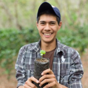 Coffee farmer in Honduras holds young coffee plant.