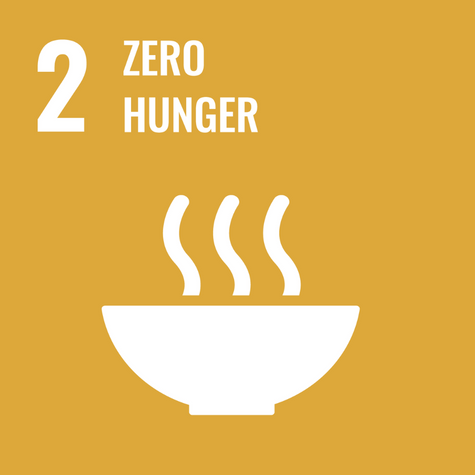 Sustainable Development Goal 2 Icon
