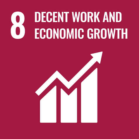 Sustainable Development Goal 8 Icon