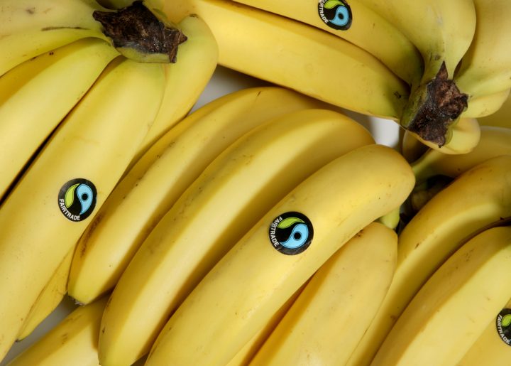 Yellow bananas with the blue and green Fairtrade Mark