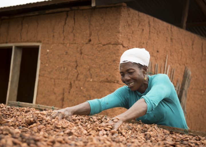 Woman drying Fairtrade certified cocoa beans on her farm in Ghana.
