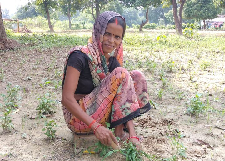 Ranjana Maurya picking weeds