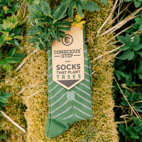 A set of green socks with tan stripes rests upon yellowy moss. The label on the socks reads: “Conscious Step: Socks that plant trees.”