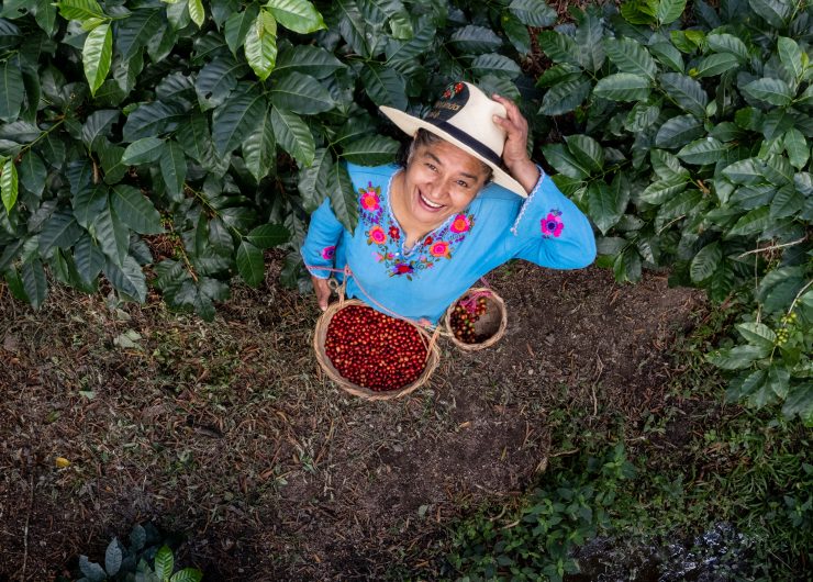 Joselinda Manueles stands beneath an opening in the canopy of her coffee farm, holding a basket of coffee cherries.