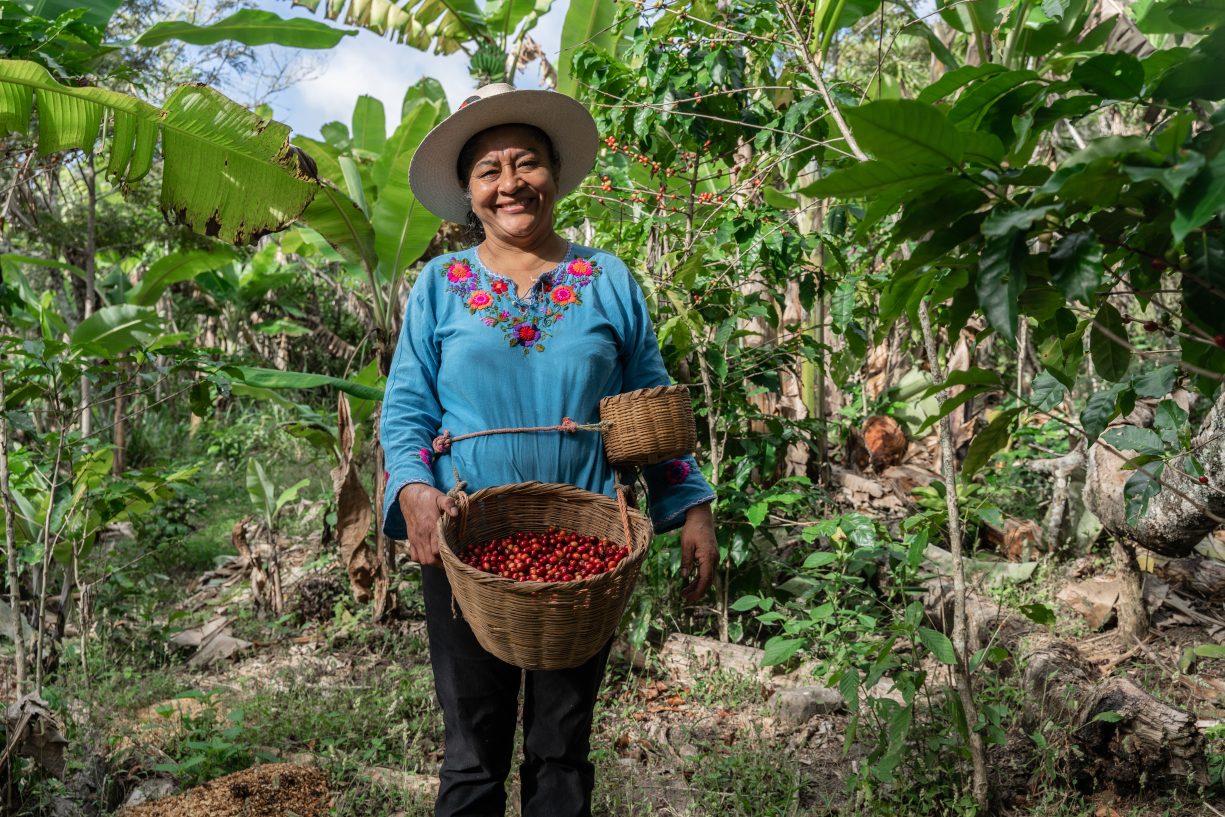 Joselinda Manueles stands amid the foliage of her coffee farm. She wears a straw basket around her waste, and the basket is full of ripe, red coffee cherries.