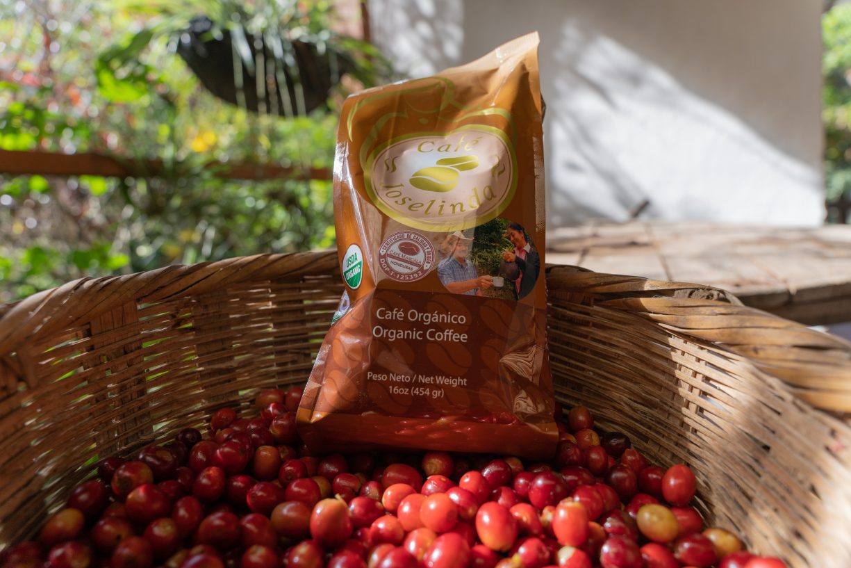 A bag of Cafe Joselinda sits in a wicker basket among ripe, red coffee cherries.
