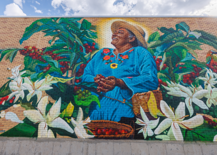Mural of Honduran coffee farmer, Joselinda Manueles holding a handful of coffee cherries. This portrait features coffee flowers and Scarlet Macaws. This portrait was painted by IT-RA Icons on the side of The Merc Co-op in Lawrence, KS.