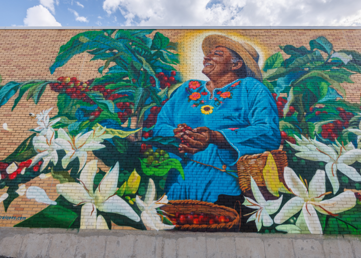 Mural of Honduran coffee farmer, Joselinda Manueles holding a handful of coffee cherries. This portrait features coffee flowers and Scarlet Macaws. This portrait was painted by IT-RA Icons on the side of The Merc Co-op in Lawrence, KS.