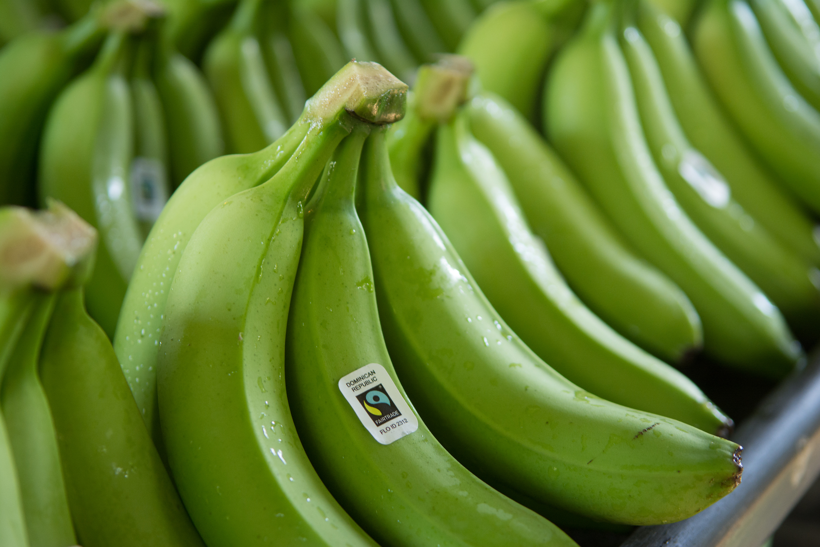 photo of bananas by Christian Nusch