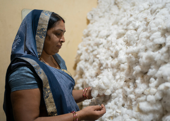 Lalita Bai - cotton farmer